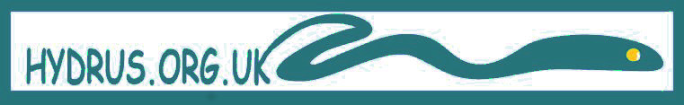 test image