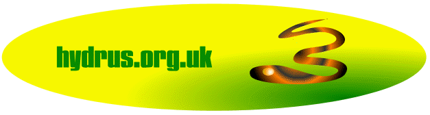test image