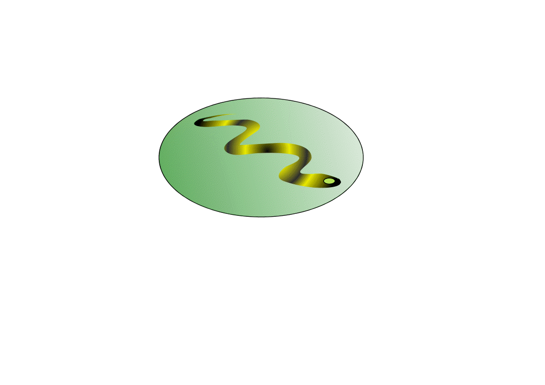 test image
